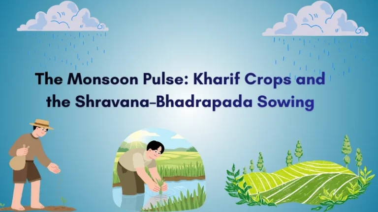 Kharif vs Rabi crops an illusration . What are Zaid crops and which seasons are imprtant for kharif and rabi crops .